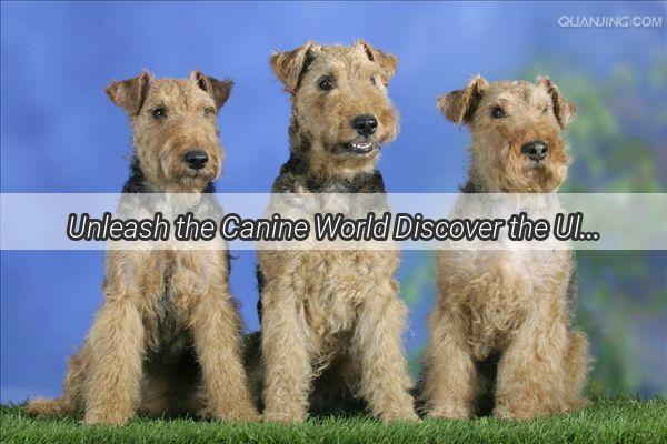 Unleash the Canine World Discover the Ultimate Dog Breed Directory